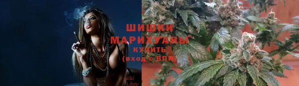 первитин Богородицк