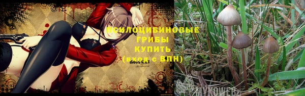 мяу мяу мука Богданович