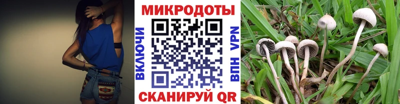 Псилоцибиновые грибы прущие грибы  hydra ТОР  Пестово 